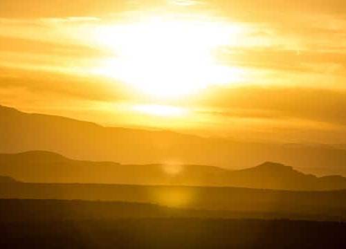 It's That Time of the Year