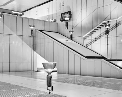 The Upside-Down Kingdom