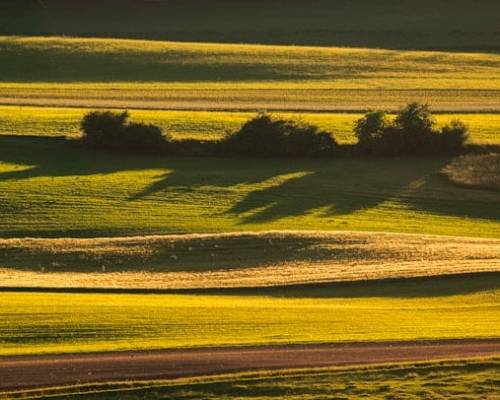 Cultivate What Matters