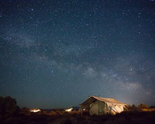 Trust in the Lord JS