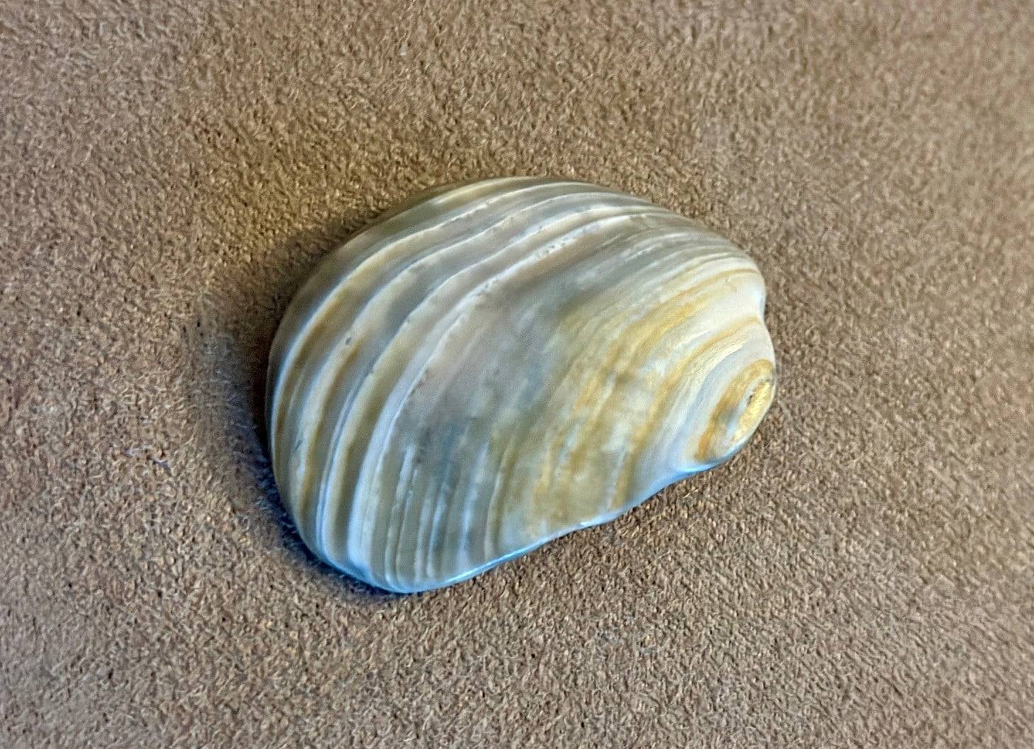 What Do You Got for Me Lord