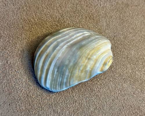 What Do You Got for Me Lord