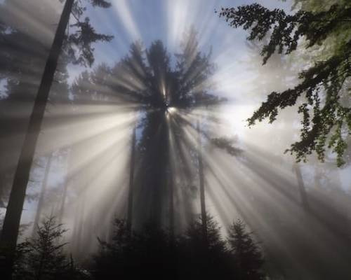 Consecrate Your Year to the Lord