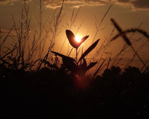 Your Destiny Unfolds