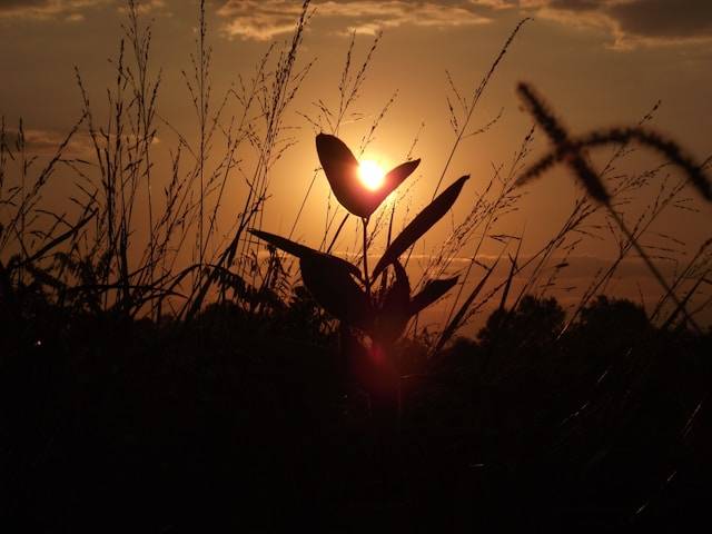 Your Destiny Unfolds