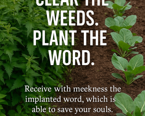 Don't Let the Weeds Win