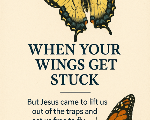 When Your Wings Get Stuck
