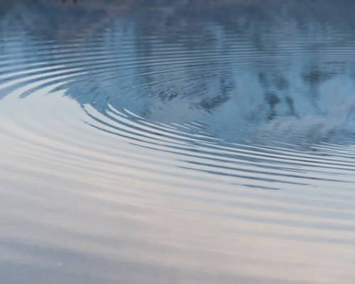 The Ripple Effect of Disobedience