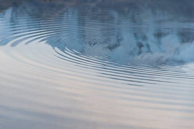 The Ripple Effect of Disobedience