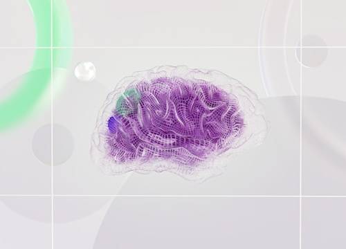 The Neuroscience of “Come and Follow Me”