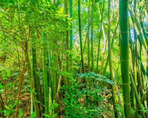 The Hidden Work of Becoming